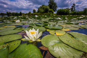 1shot1moment@bilderforum (1 von 1).jpg