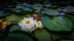 1shot1moment@bilderforum (1 von 1)-2.jpg