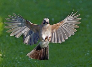 Zeigt her eure Füße.jpg