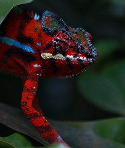 IMG_0789.jpg IMG_0789.jpg