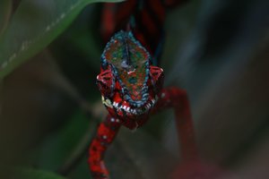 IMG_0793.jpg IMG_0793.jpg