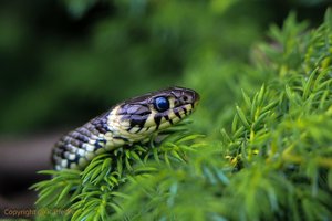 IMG_6342 (Andere).jpg