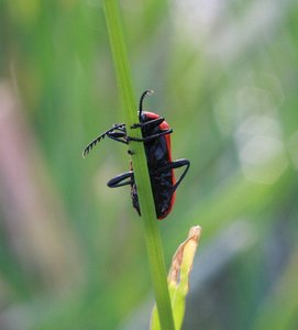 IMG_2557.jpg IMG_2557.jpg