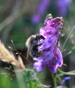 IMG_2575.jpg IMG_2575.jpg