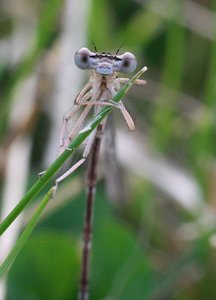 IMG_2611.jpg IMG_2611.jpg