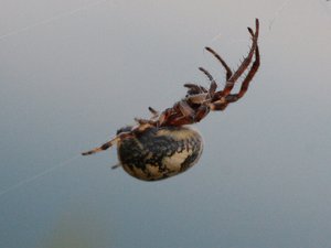 IMG_2626.jpg IMG_2626.jpg