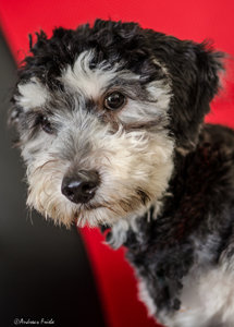 D7K_9365-Bearbeitet.jpg D7K_9365-Bearbeitet.jpg