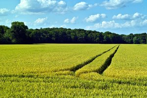 comp_SDIM0915.jpg comp_SDIM0915.jpg