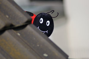 DSC_0009.JPG DSC_0009.JPG