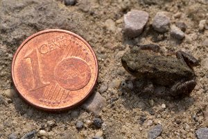 SAM_5414D.jpg SAM_5414D.jpg