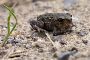 SAM_5409D.jpg SAM_5409D.jpg