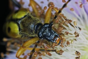 500k_SDIM5570.jpg 500k_SDIM5570.jpg