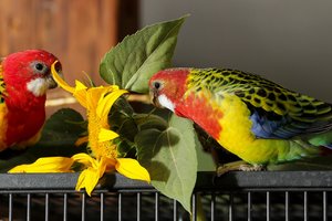 comp_IMG_3253 -1.jpg