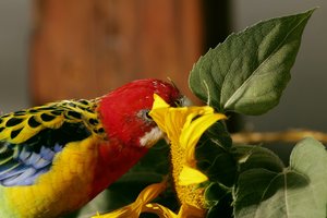 comp_IMG_3256 -1.jpg