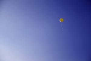 02-comp__JUB7158.jpg 02-comp__JUB7158.jpg