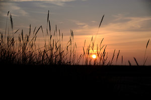 Sonnenuntergang.jpg Sonnenuntergang.jpg