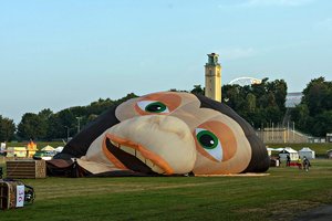 comp__MG_4065.jpg comp__MG_4065.jpg