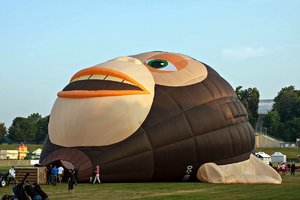 comp__MG_4072.jpg comp__MG_4072.jpg