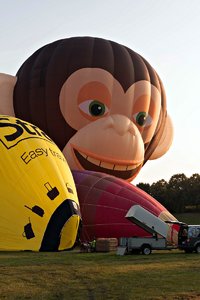 comp__MG_4079.jpg comp__MG_4079.jpg