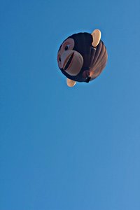 comp__MG_4123.jpg comp__MG_4123.jpg