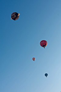 comp__MG_4126.jpg comp__MG_4126.jpg