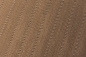 comp__MG_4225.jpg comp__MG_4225.jpg