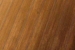 comp__MG_4226.jpg comp__MG_4226.jpg