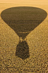 comp__MG_4255-2.jpg comp__MG_4255-2.jpg