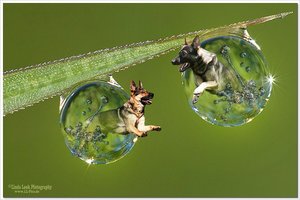 comp_meine zwei-wassertropfen 1b.jpg comp_meine zwei-wassertropfen 1b.jpg