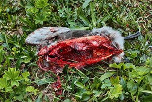 13_DP2M1576 Kopie.jpg 13_DP2M1576 Kopie.jpg