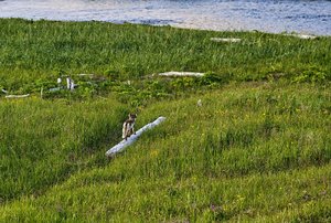 13_SDIM4676 Kopie.jpg 13_SDIM4676 Kopie.jpg