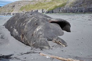 13_DP2M1610 Kopie.jpg 13_DP2M1610 Kopie.jpg