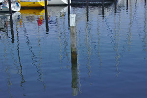 IMG_6646_k.jpg IMG_6646_k.jpg