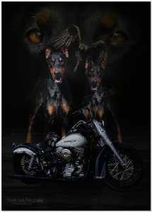 comp_The Spirit never dies.jpg