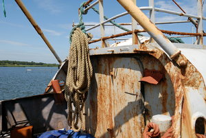 Enkhuisen - NL 149_Bildgröße ändern.jpg