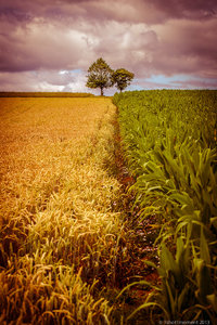 1shot1moment@bilderforum (1 von 1).jpg