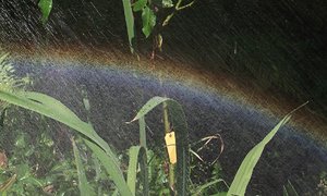 comp_DSCF5146-Regenbogen.jpg comp_DSCF5146-Regenbogen.jpg