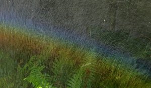 comp_IMG_0092-Regenbogen.jpg comp_IMG_0092-Regenbogen.jpg