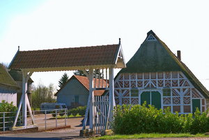 Stade 136_Bildgröße ändern.jpg