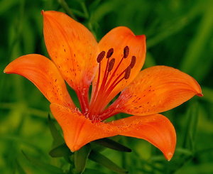 JPG_4947.jpg ys_Bildgröße ändern.jpg