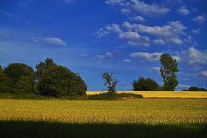 SD9 nach Nex-Tod IMG03356 psf (c) PPf.jpg