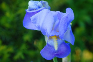 Satow 1 ä_Bildgröße ändern.jpg