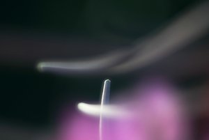 DSC09682 Nex 5N + Diaplan 2,8 100mm am Balgen_0001 (c) PPf.jpg