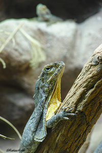 DP3M1325.jpg DP3M1325.jpg