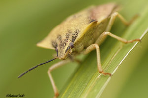 DP3M0964-3.jpg DP3M0964-3.jpg