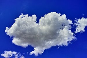 bf_DP2M1678 Kopie.jpg