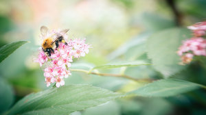 20130807-025-7 bearb..jpg