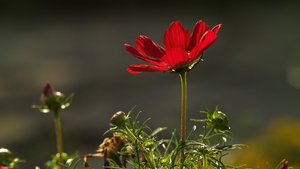 SDIM0824k.jpg SDIM0824k.jpg