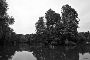 PR7A7526_k.jpg PR7A7526_k.jpg