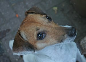 comp_D20 012-loona.jpg